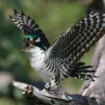 international number pattern analysis