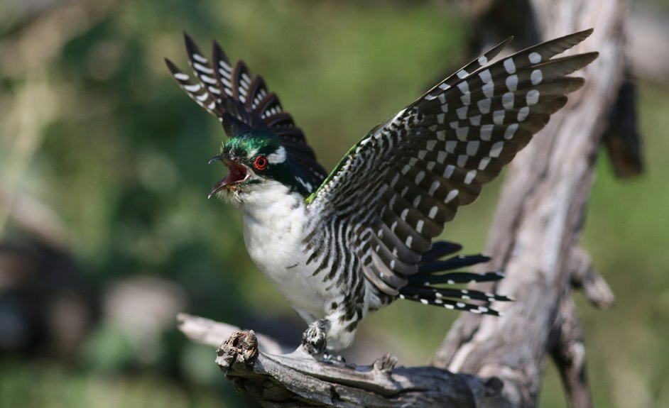 uk call patterns analysis