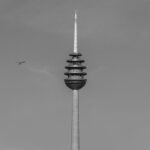 telecommunication fraud detection numbers