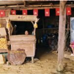 market data analysis summary