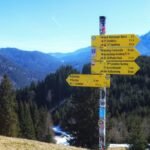 sector momentum analysis guide