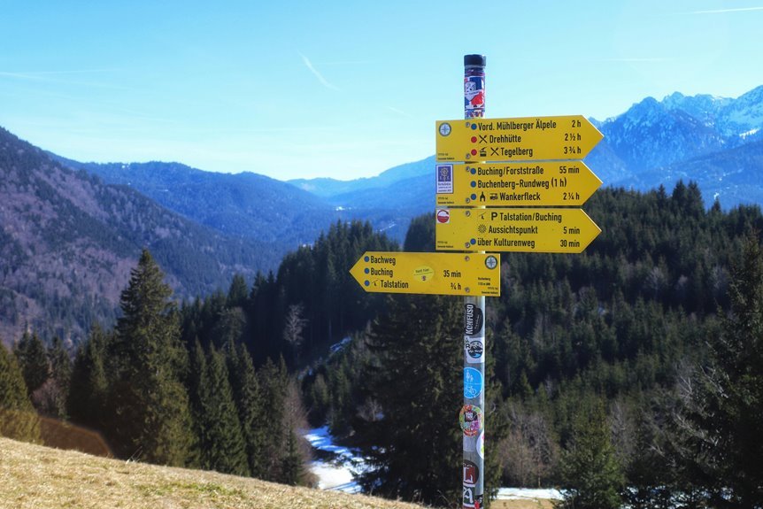 sector momentum analysis guide